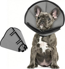 Collari Protettivi per Cani