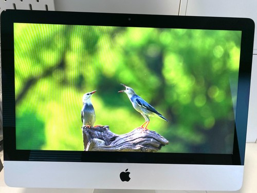 écran lcd complet - Écran,