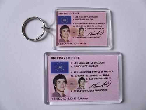 Bruce lee keyring fridge - lee, or