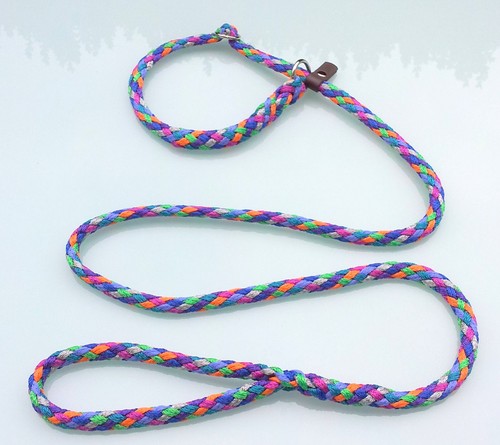 Guinzaglio da retriever - ,