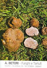 A. Betori - funghi e tartufi - milano  (Cartoncino con ricette nel retro)