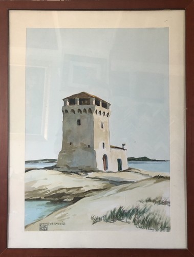 Aldo riso torraccia - riso,