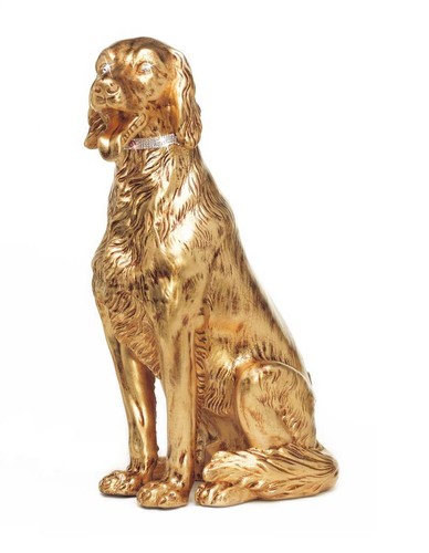 Cane setter cax - setter, seduto