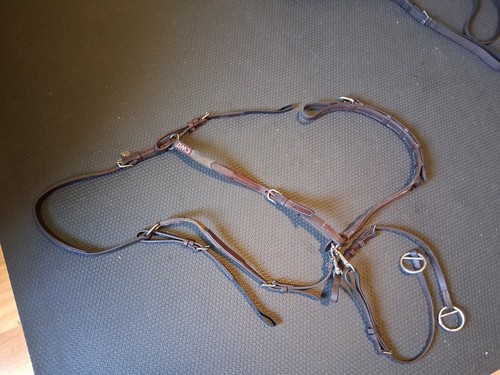 Cwd running martingala full - running,