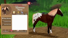 Iuh cavallo appaloosa - -,