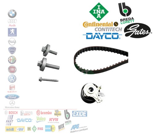 Kit distribuzione renault clio - distribuzione,
