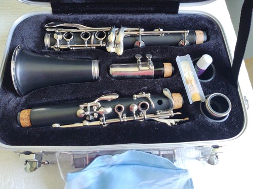 Clarinet buffet crampon - clarinet, b12