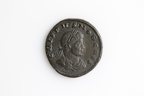 Crispus descrizione vedi - crispus,