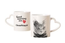 Chartreux tazza con gatto