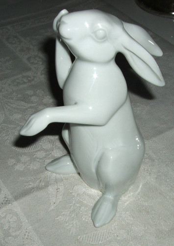 Porcellana orecchio lungo
