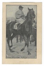 CAVALLO MIMOSA IPPICA GUASTALLA REGGIO EMILIA CARTOLINA AUTOCOSTRUITA FP #1819