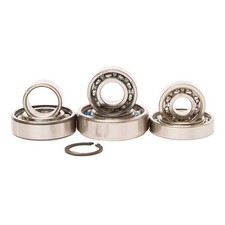 Kit cuscinetti cambio Hot Rods