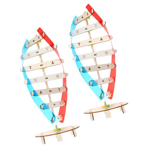 2psc kit progetto modello dna - modello,