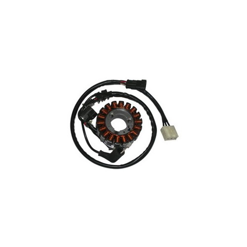 Statore campo magnetico - statore,