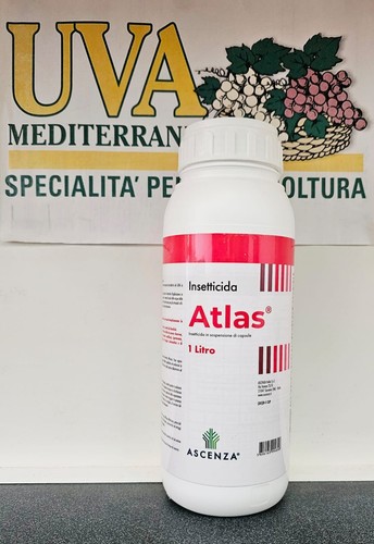 Atlas insetticida ascenza - lt,