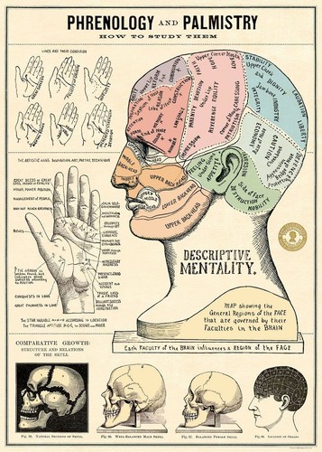 Poster vintage arte - arte, frenologia
