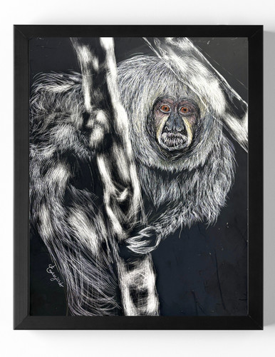 Guajardo art scimmia - art:,