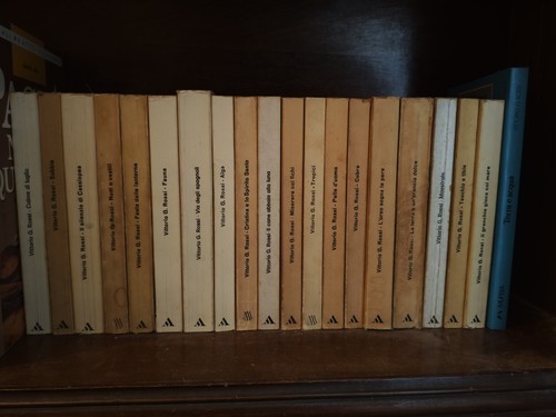 Lotto libri vittorio g - lotto, 20