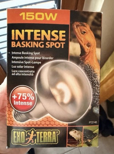 Lampada spot intensa - intensa, per