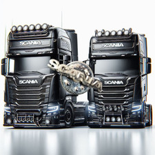 Spilla da collezione -