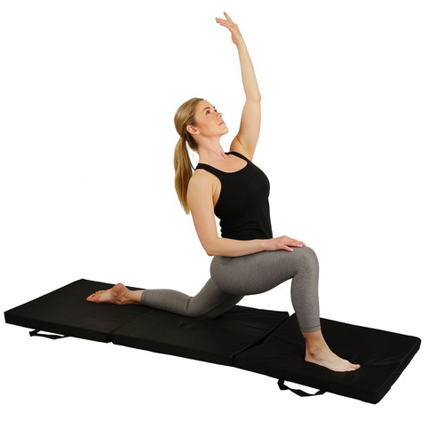 Sunny health fitness tri - health,