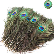 Aatpuss 20 Pezzi Piume Di