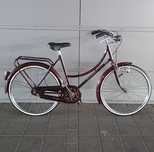Bicicletta olanda bottecchia - bicicletta,