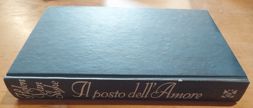 Libro romanzo posto - il,