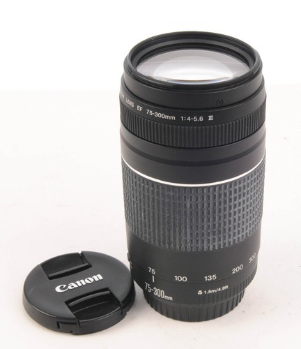 Canon 300 6 iii af - f4-5.6,