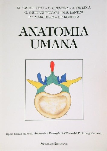 Anatomia umana monduzzi - umana,