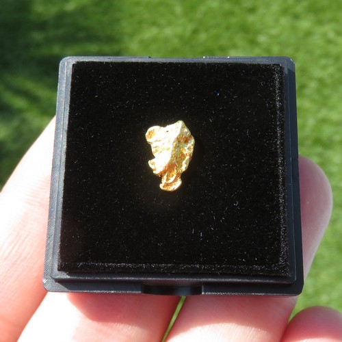 Minerali pepita d oro - pepita, d'oro