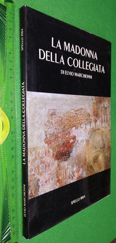 Libro madonna della - madonna,