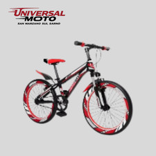 BICICLETTA BAMBINO/RAGAZZO