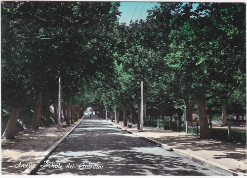 Amelia terni viale dei - -,