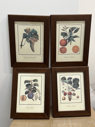 Set stampe botaniche frutta - 4,