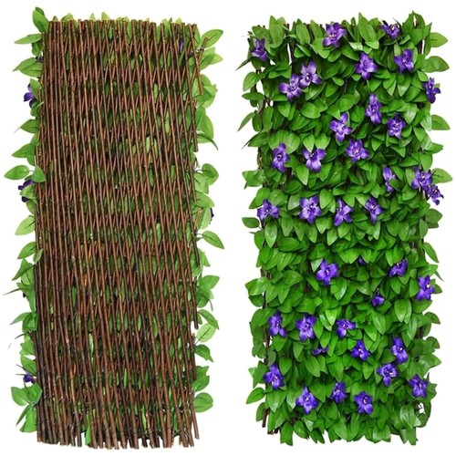 Schermo privacy edera