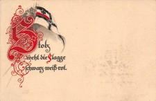 Orgogliosamente sventola la