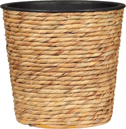 Water hyacinth vaso - hyacinth,