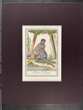 Donna di Loango, Africa 1797