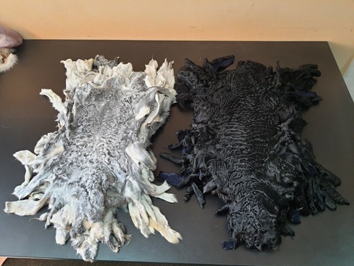 Pelliccia karakul swakara - pelliccia, karakul,