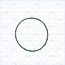 Guarnizione, Collettore