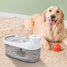 Fontana acqua cane gatto