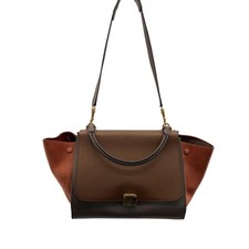 Borsa a mano Celine in pelle
