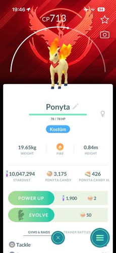 Costume candela ponyta squadra - ponyta,