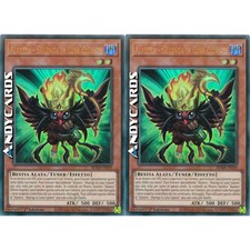 ALANERA - SHARNGA LA LUNA