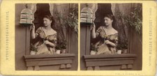 Lotto 6 18 stereoviews genere