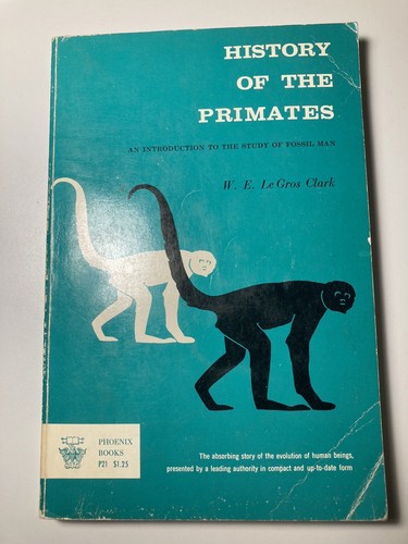 Vintage 1964 history - of, the