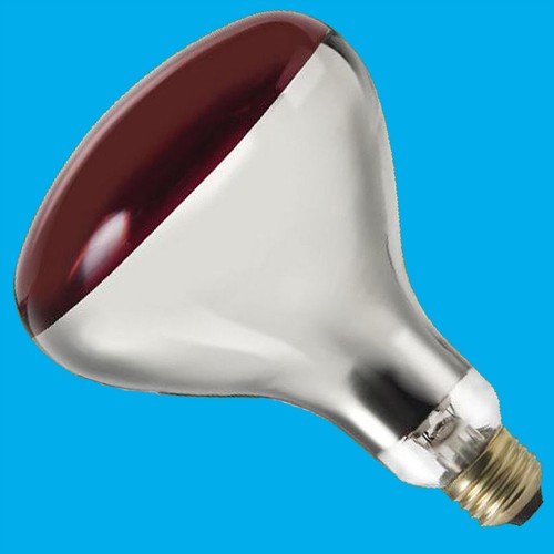 150w lampadina calore - lampadina, di