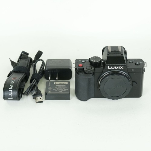Panasonic lumix g100 micro - panasonic,