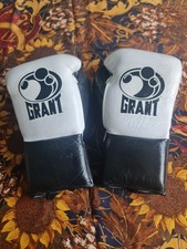 Guanti da boxe professionali
